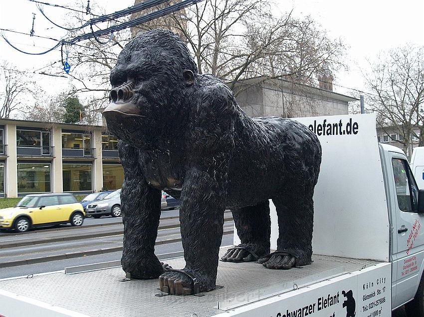 King Kong in Koeln 1.JPG